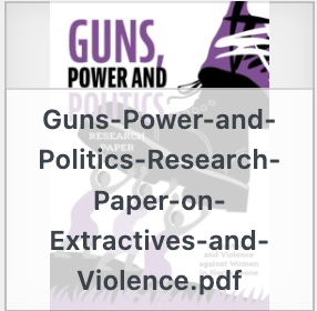 Guns, Power and Politics Research Paper